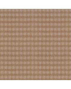 Anderson Tuftex Imagination Glamorous Carpet - ZZ336-00273