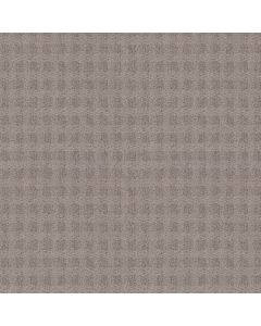Anderson Tuftex Imagination Cape Cod Carpet - ZZ336-00574