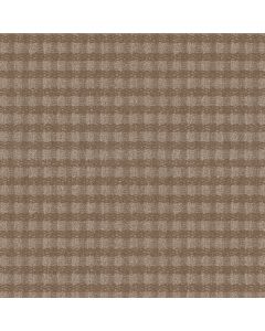 Anderson Tuftex Imagination Bungalow Carpet - ZZ336-00715
