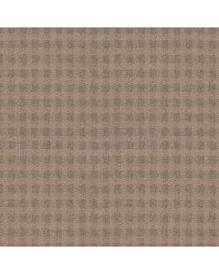 Anderson Tuftex Imagination Villa Carpet - ZZ336-00774