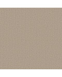Anderson Tuftex Finesse Ash Carpet - ZZ343-00100