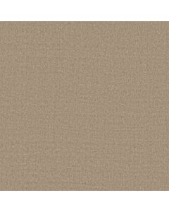 Anderson Tuftex Finesse Stroll Carpet - ZZ343-00101