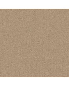 Anderson Tuftex Finesse Sunwashed Carpet - ZZ343-00102