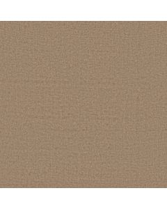 Anderson Tuftex Finesse Timberline Carpet - ZZ343-00700