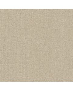 Anderson Tuftex Sensate Whisper Carpet - ZZ345-00100