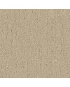 Anderson Tuftex Sensate Aspire Carpet - ZZ345-00101