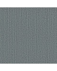 Anderson Tuftex Sensate Tranquility Carpet - ZZ345-00400