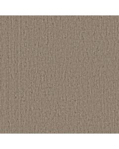Anderson Tuftex Sensate Zen Carpet - ZZ345-00700