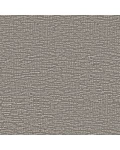 Anderson Tuftex Curator Author Carpet - ZZ347-00500
