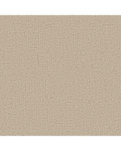 Anderson Tuftex Interwoven Cashmere Carpet - ZZ348-00100