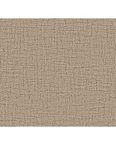 Anderson Tuftex Haptic Trail Carpet - ZZ349-00103