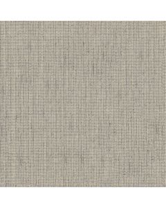 Anderson Tuftex Tapestry Fin Carpet - ZZ350-00500