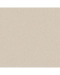 Anderson Tuftex Finery Arctic Hare Carpet - ZZ351-00101