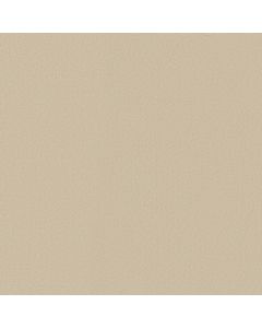 Anderson Tuftex Finery Counting Stars Carpet - ZZ351-00102