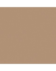 Anderson Tuftex Finery Baked Beige Carpet - ZZ351-00103