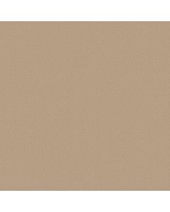 Anderson Tuftex Finery Sunkissed Carpet - ZZ351-00104