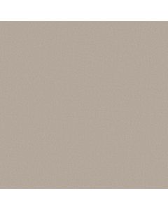 Anderson Tuftex Finery First Frost Carpet - ZZ351-00106