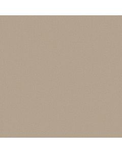 Anderson Tuftex Finery Calm Ivory Carpet - ZZ351-00108
