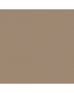 Anderson Tuftex Finery Desert Dune Carpet - ZZ351-00110