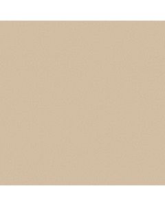 Anderson Tuftex Finery Goose Carpet - ZZ351-00111
