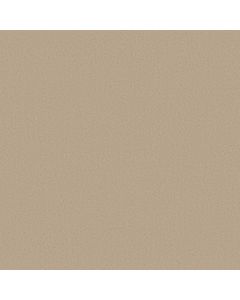 Anderson Tuftex Finery Ecru Carpet - ZZ351-00112