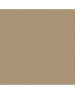 Anderson Tuftex Finery Burlap Carpet - ZZ351-00113
