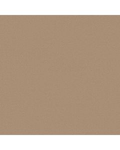 Anderson Tuftex Finery Cork Carpet - ZZ351-00114