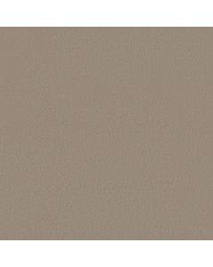 Anderson Tuftex Finery Dusty Trail Carpet - ZZ351-00115