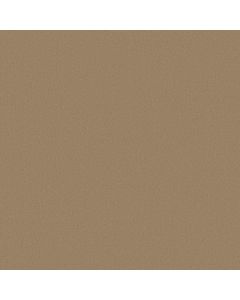 Anderson Tuftex Finery Mystic Gold Carpet - ZZ351-00116