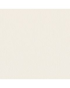 Anderson Tuftex Finery Pure White Carpet - ZZ351-00150