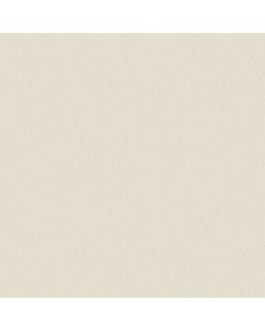 Anderson Tuftex Finery Cotton Carpet - ZZ351-00151