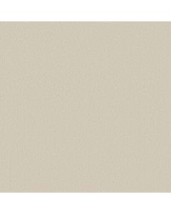 Anderson Tuftex Finery Alabaster Carpet - ZZ351-00152