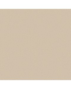 Anderson Tuftex Finery French Buff Carpet - ZZ351-00153