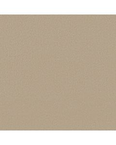 Anderson Tuftex Finery Cake Batter Carpet - ZZ351-00154