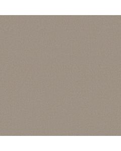 Anderson Tuftex Finery Putty Carpet - ZZ351-00157