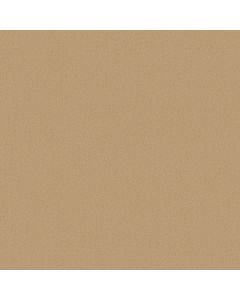 Anderson Tuftex Finery Buttercup Carpet - ZZ351-00200