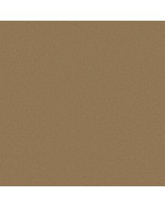 Anderson Tuftex Finery Cider Carpet - ZZ351-00252
