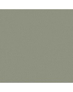 Anderson Tuftex Finery Saybrook Sage Carpet - ZZ351-00301
