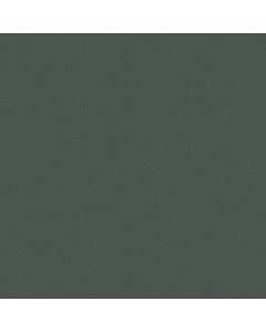 Anderson Tuftex Finery Grove Carpet - ZZ351-00303