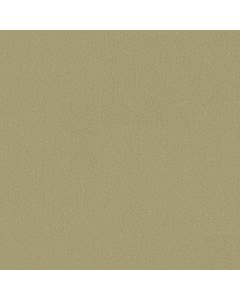 Anderson Tuftex Finery Chartreuse Carpet - ZZ351-00304