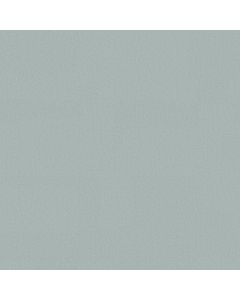 Anderson Tuftex Finery Glacier Carpet - ZZ351-00407