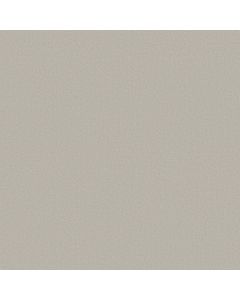 Anderson Tuftex Finery Mussel Carpet - ZZ351-00504