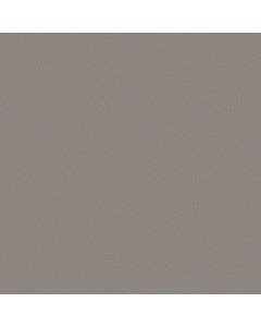 Anderson Tuftex Finery Mushroom Carpet - ZZ351-00505