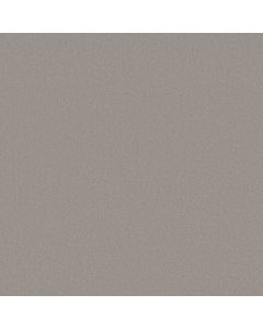 Anderson Tuftex Finery Concrete Carpet - ZZ351-00551