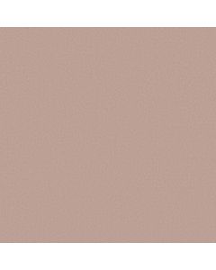 Anderson Tuftex Finery Blush Carpet - ZZ351-00800