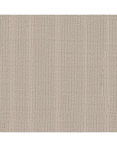 Anderson Tuftex Laine Sand Dollar Carpet - ZZ361-00102
