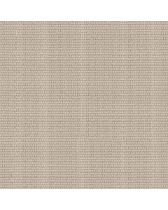 Anderson Tuftex Laine Wind Swept Carpet - ZZ361-00104