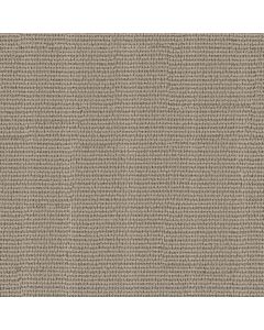 Anderson Tuftex Laine Palmetto Carpet - ZZ361-00301