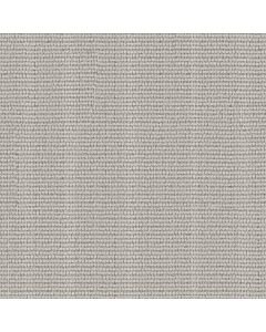 Anderson Tuftex Laine Tide Pool Carpet - ZZ361-00401