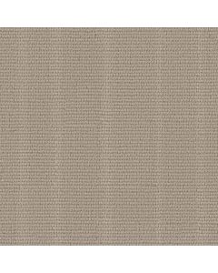 Anderson Tuftex Laine Driftwood Carpet - ZZ361-00702